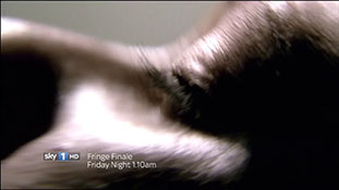 Fringe Season Finale Simulcast Trailer Sky1 HD.mp4-00024
