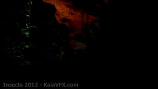 KaiaVFX.com - Visual Effects - Insects.mp4-00033